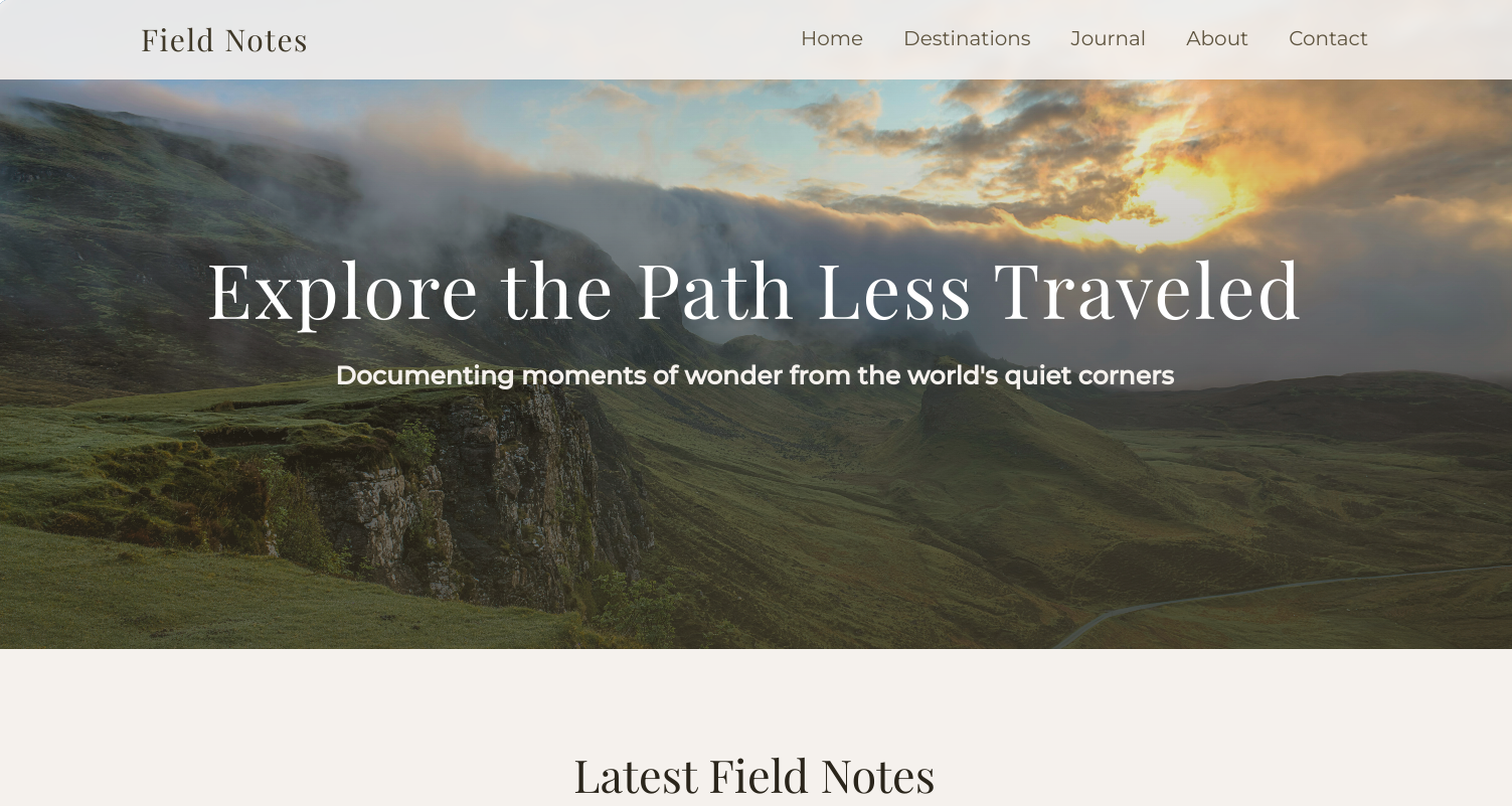 Website Example